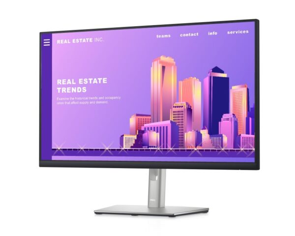 DELL 27 inch P2722H Professional IPS monitor