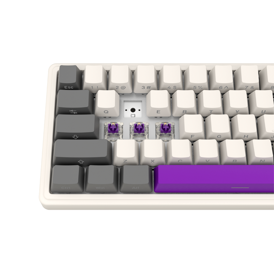 250319110010019412.jpg LORGAR KBP70MW, Wireless 65% Mechanical Gaming Keyboard Pro, Beige, EN layout - Slika 8